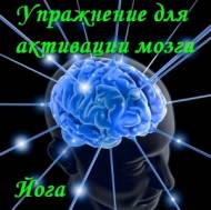 Йога, развивающая супермозг. Упражнение для активации мозга