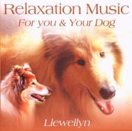 LLEWELLYN - RELAXATION MUSIC FOR YOU AND YOUR DOG